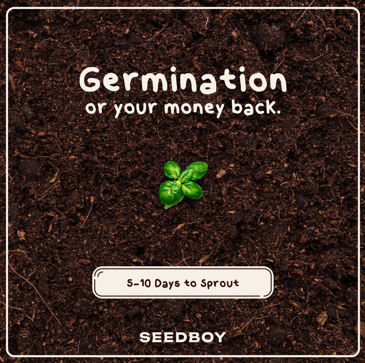 Basil Seed Packet